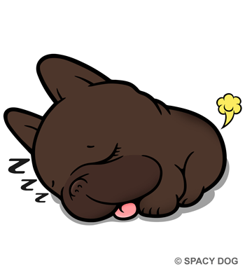 Sleeping french bulldog Brindle