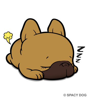 Sleeping french bulldog Fawn