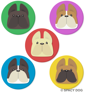 French Bulldog Face Circle Icons