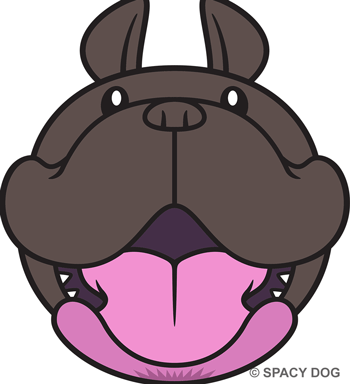 French Bulldog Face