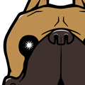 French Bulldog Smiling shield emblem retro