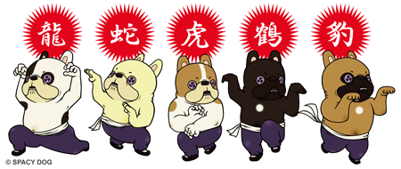 フレンチブルドッグ-カンフードッグ