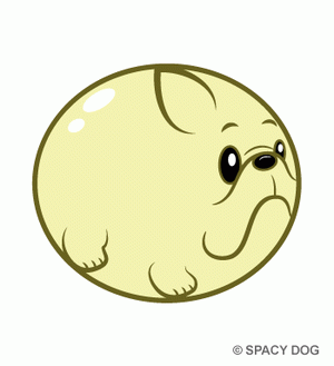 卵のフレンチブルドッグ - たまごフレンチ