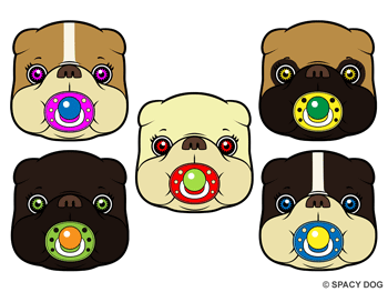 フレンチブルドッグの赤ちゃん-ベイビーフレンチィ