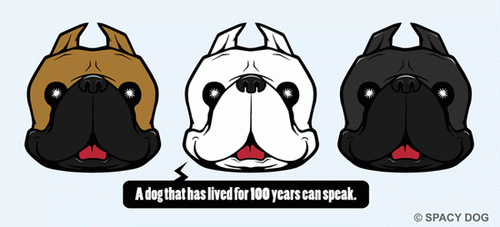 でっかい頭のフレンチブルドッグ