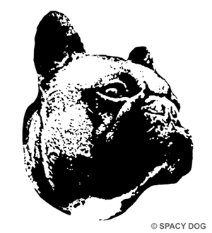 ロゴ用 Spacy Dog Blog