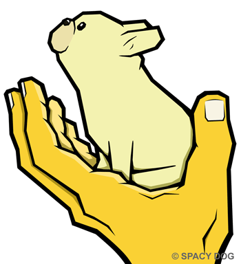 French bulldog in hand