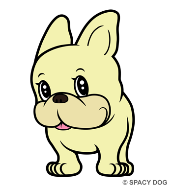 ちら見 フレンチブルドッグ<br />
