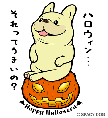 テヘ顔のお座りフレンチブルドッグ-ハロウィンバージョン