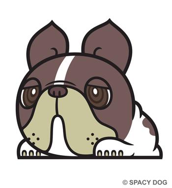 顔デカフレンチブルドッグのイラスト