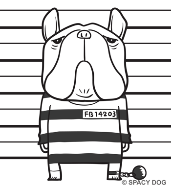 フレンチブルドッグの囚人のイラスト
