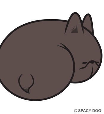 丸くなって寝るフレンチブルドッグ