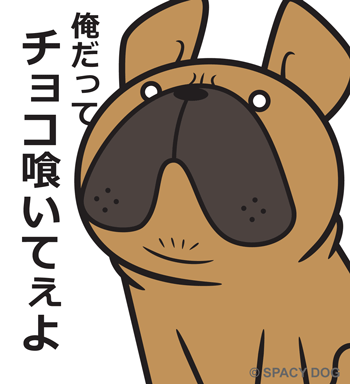 ご機嫌ななめのフレンチブルドッグ