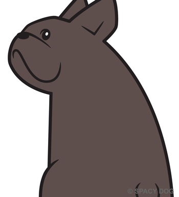 ふりむいてチラ見しているフレンチブルドッグ