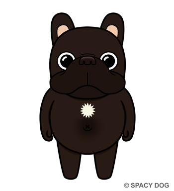 フレンチブルドッグ風の謎の生き物 / ブリンドル