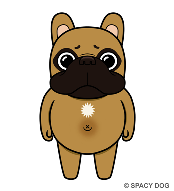 フレンチブルドッグ風の謎の生き物 / フォーン