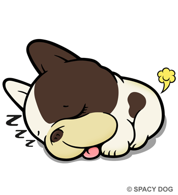 Sleeping french bulldog Pied