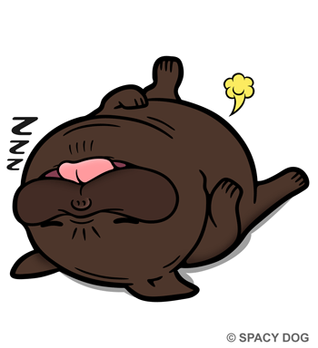 Sleeping french bulldog Brindle