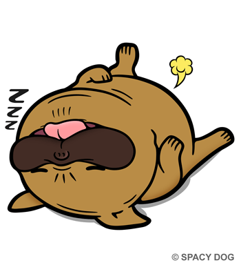 Sleeping french bulldog Fawn