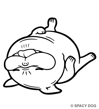 Sleeping french bulldog Fawn