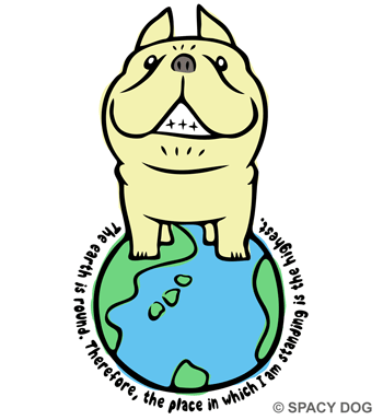 French bulldog Cream