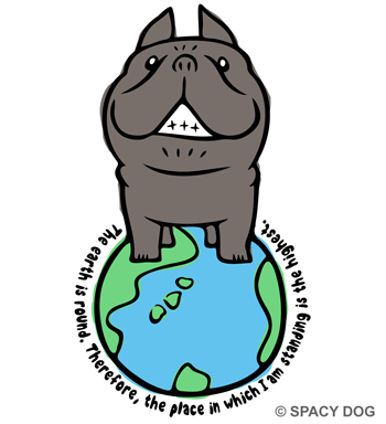 French bulldog Brindle