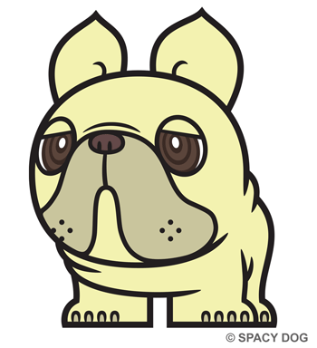 French bulldog Cream