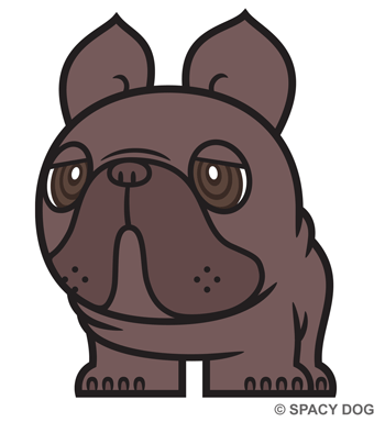 French bulldog Brindle