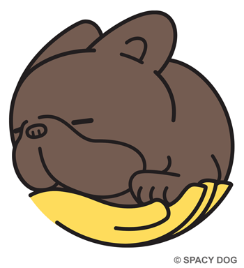 Sleeping french bulldog in hand Brindle