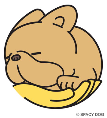 Sleeping french bulldog in hand Fawn