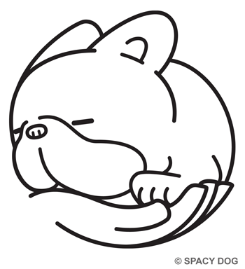 Sleeping french bulldog in hand