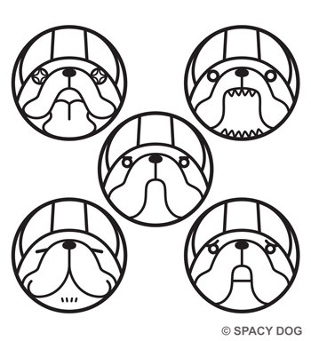 French Bulldog  Emotions