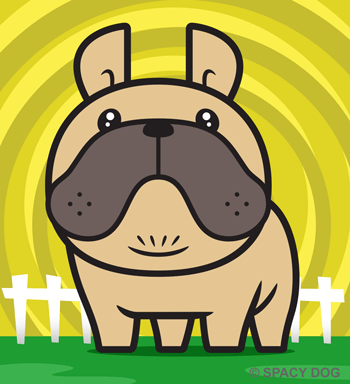 French bulldog Fawn