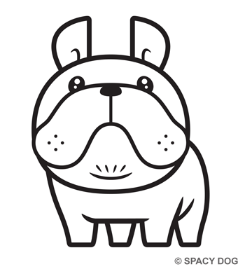 French bulldog 
