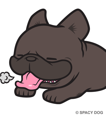 French Bulldog Tired