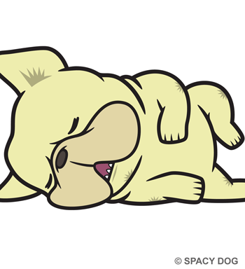 French Bulldog Sleeping