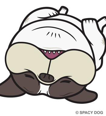 French Bulldog Sleeping