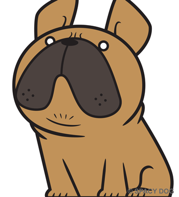 French Bulldog Sitting