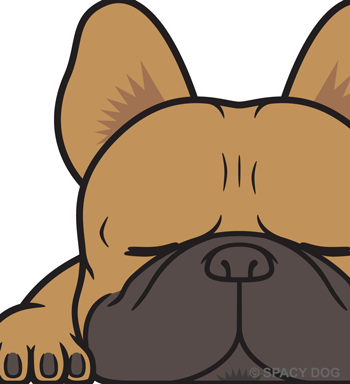 French Bulldog Sleeping