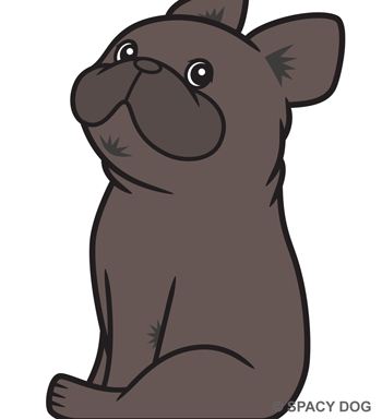 French Bulldog Sitting and Looking