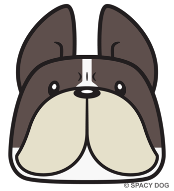 French Bulldog Face