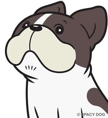 French Bulldog Looking