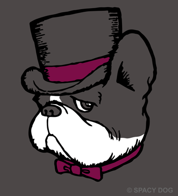 French Bulldog with a hat