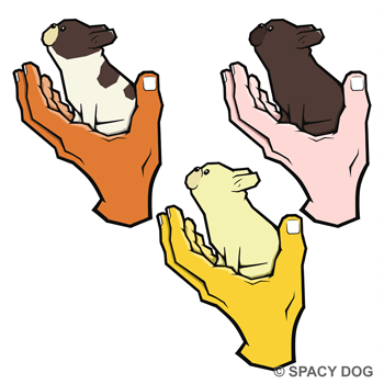 French Bulldog in Hand