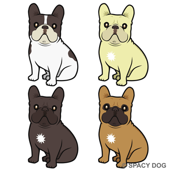 French Bulldog sitting and looking up