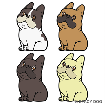 French Bulldog sitting and looking