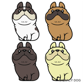 French Bulldog sitting