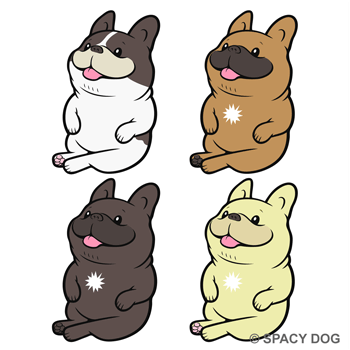 French Bulldog sitting and smiling