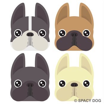 French Bulldog Face logo