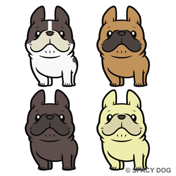 French Bulldog Smiling